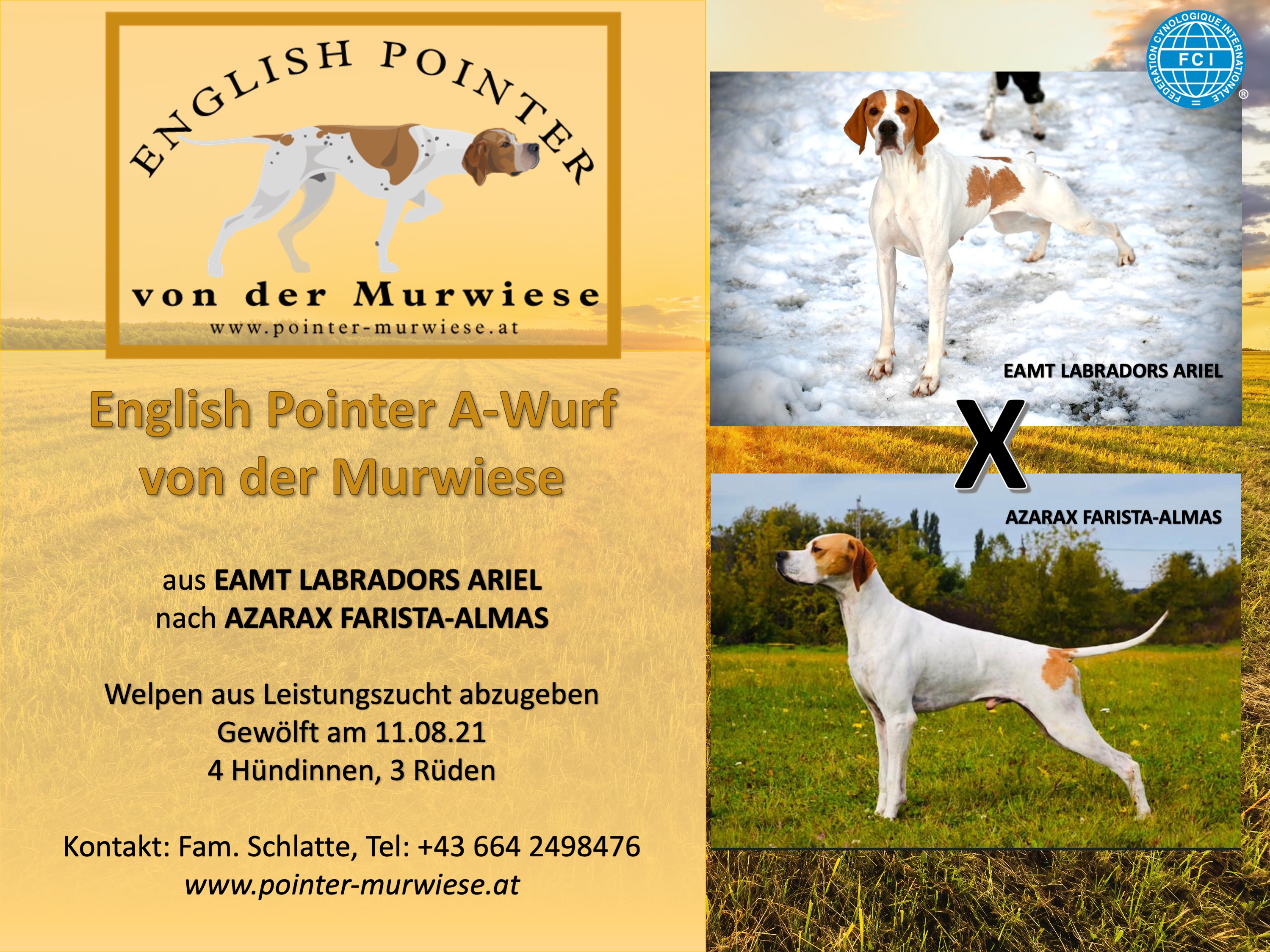 Murwiese A Wurf